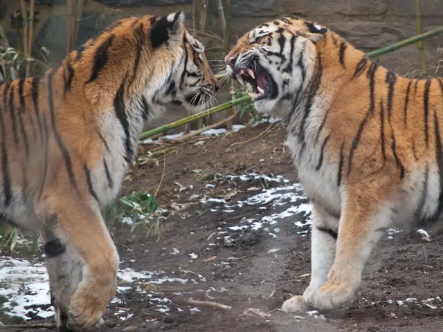 Exploration of the 1 Reel Monkey Slot Game